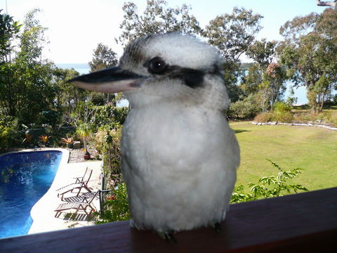 Yarrandabbi Dreaming Boutique B&B - Accommodation VIC 2