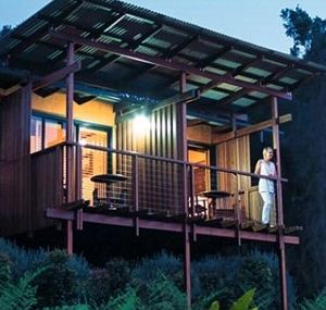 O'Reilly's Rainforest Guesthouse - Accommodation VIC 1
