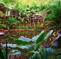 Daintree Eco Lodge  Spa - Accommodation VIC