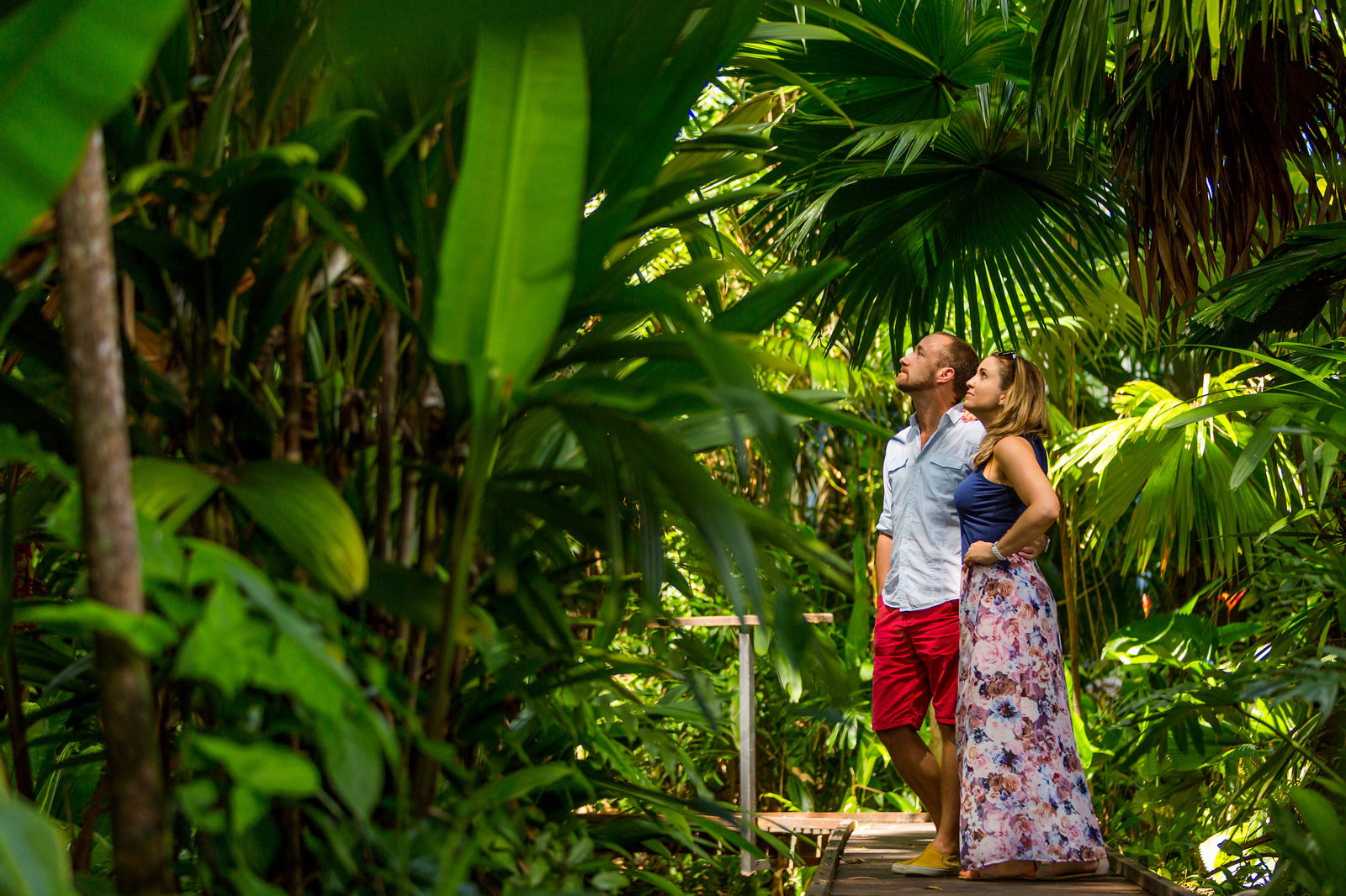 Cairns QLD Accommodation VIC