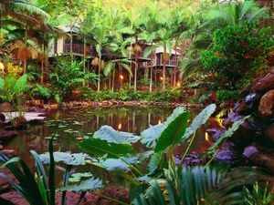 Daintree QLD Accommodation VIC