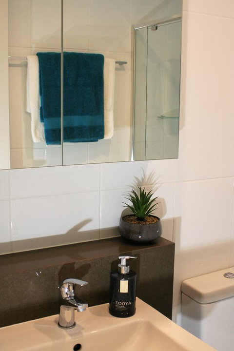 Modern Executive Apt@Barton*1BR*WiFi*Gym*Secure Parking*Canberra - Accommodation VIC 13