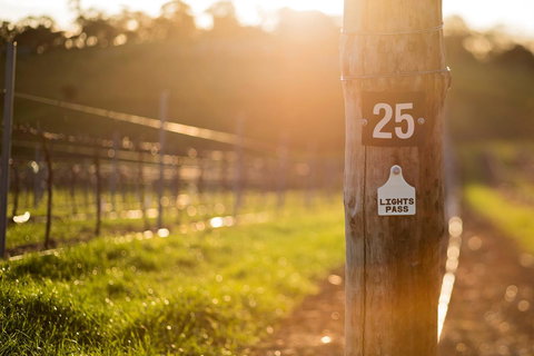 The Louise - Accommodation VIC 44