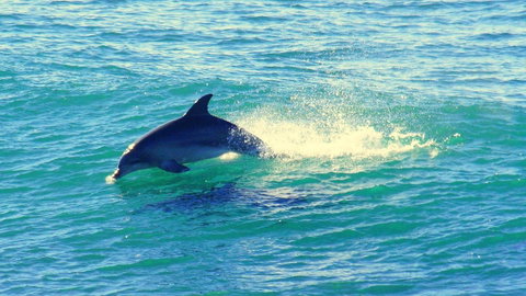 Mollymook Beach Waterfront - Accommodation VIC 22