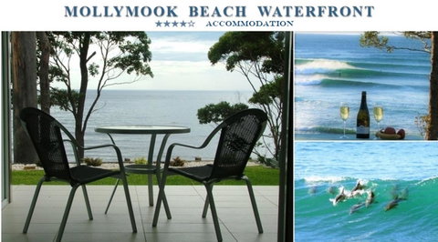 Mollymook Beach Waterfront - Accommodation VIC 1