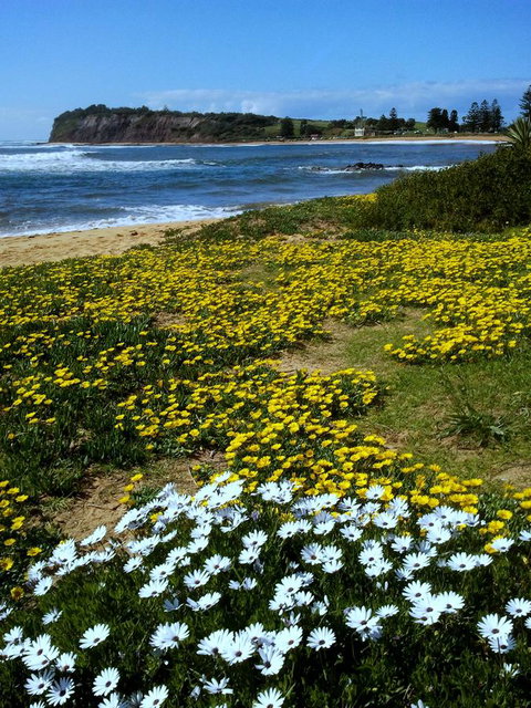 Serenity On Narrabeen Beach - 1Bdr Beachside Retreat - Accommodation VIC 10