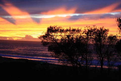 Serenity On Narrabeen Beach - 1Bdr Beachside Retreat - Accommodation VIC 1