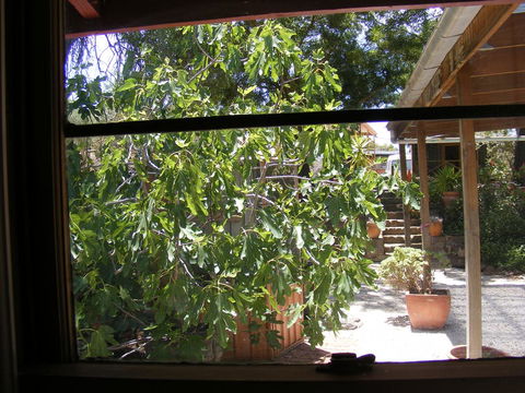 Trevalia Accommodation - Accommodation VIC 4