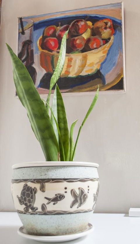 Trevalia Accommodation - Accommodation VIC 27