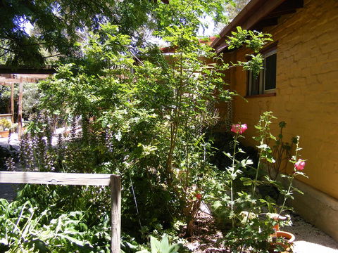 Trevalia Accommodation - Accommodation VIC 7