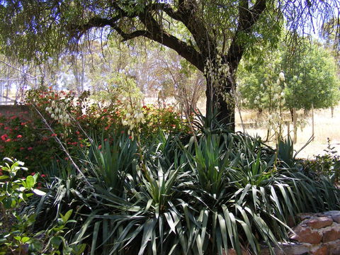 Trevalia Accommodation - Accommodation VIC 6