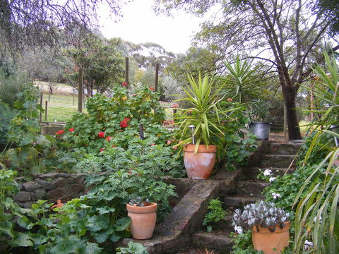 Trevalia Accommodation - Accommodation VIC 13