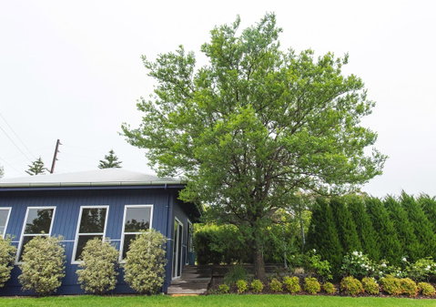 S T U D I O 22 Peaceful Retreat With Garden Views - Accommodation VIC 11