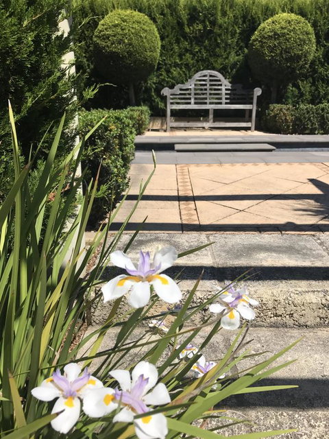 S T U D I O 22 Peaceful Retreat With Garden Views - Accommodation VIC 13