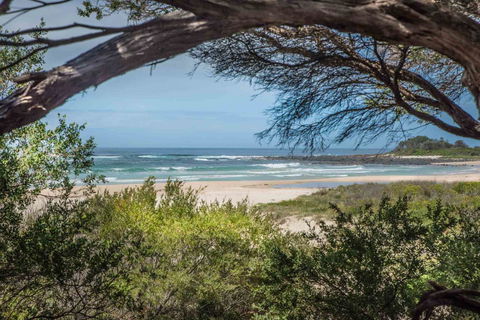 BIG4 Tasman Holiday Parks - Racecourse Beach - Accommodation VIC 7