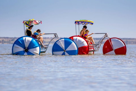 Discovery Parks - Lake Bonney - Accommodation VIC 26