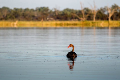 Discovery Parks - Lake Bonney - Accommodation VIC 36