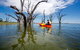 Discovery Parks - Lake Bonney - thumb 27