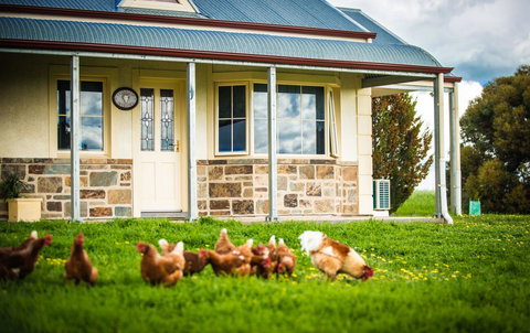 Barossa Vineyard Cottages - Accommodation VIC 40
