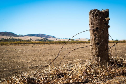 Barossa Vineyard Cottages - Accommodation VIC 5
