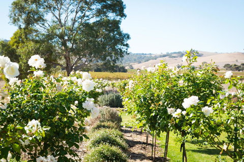 Barossa Vineyard Cottages - Accommodation VIC 1