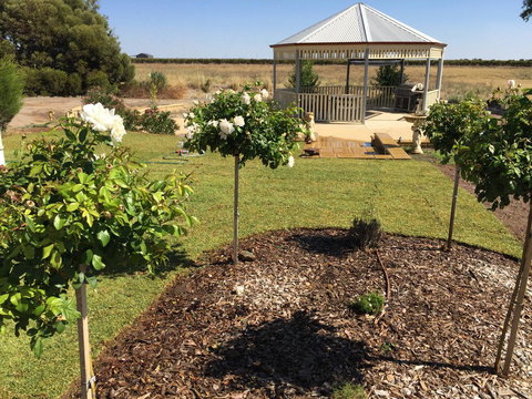 Barossa Vineyard Cottages - Accommodation VIC 43
