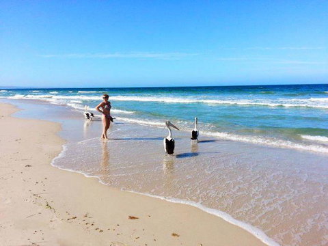 Atlantic West Beach Apartments - Accommodation VIC 22
