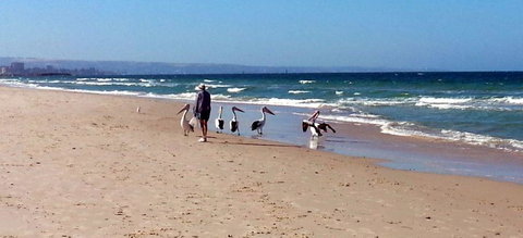 Atlantic West Beach Apartments - Accommodation VIC 20