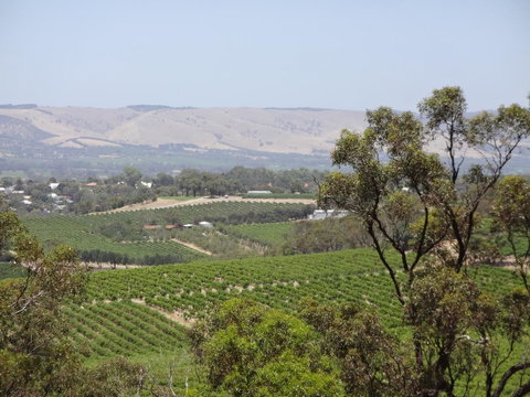 Elandra Holiday Home - Accommodation VIC 18