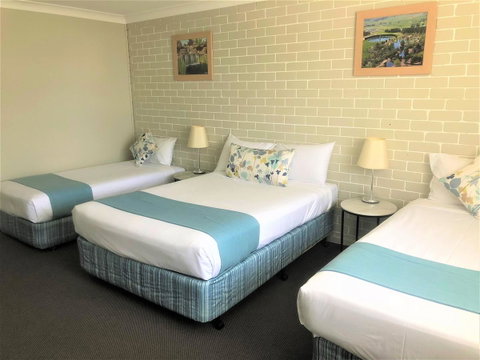 Bathurst Motor Inn - Accommodation VIC 14