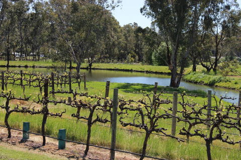 OXENBERRY FARM - Accommodation VIC 19