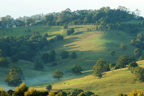 SummerHills Retreat Byron Bay - Accommodation VIC 20
