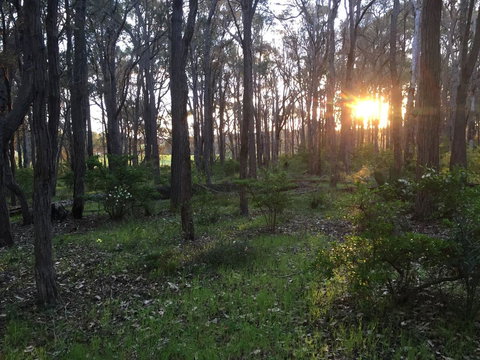 Simala Retreat - Accommodation VIC 4