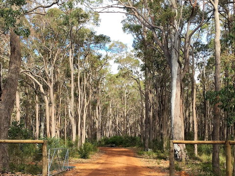 Simala Retreat - Accommodation VIC 6