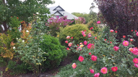 Glenelg On King Bed & Breakfast - Accommodation VIC 15