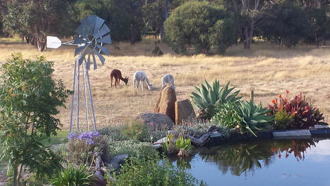 Glenelg On King Bed & Breakfast - Accommodation VIC 19