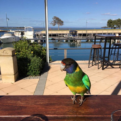 Mandurah Quay Resort - Accommodation VIC 32