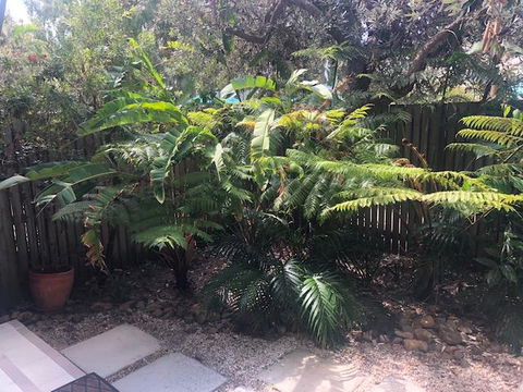 East On Byron - Accommodation VIC 40