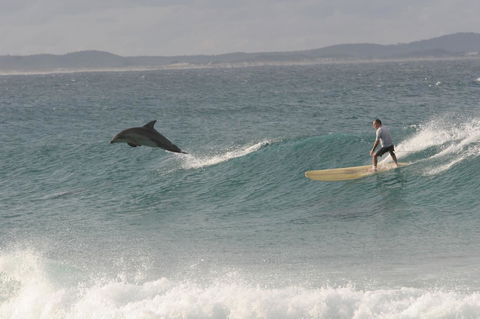Crescent Head Spa Villa - Accommodation VIC 22