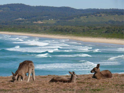 High Tide At Emerald - Accommodation VIC 13