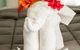 Kempsey Rose Motor Inn - thumb 17