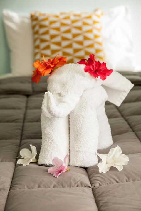 Kempsey Rose Motor Inn - Accommodation VIC 17