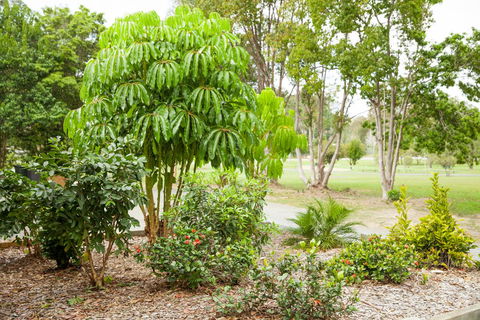 Kempsey Rose Motor Inn - Accommodation VIC 42