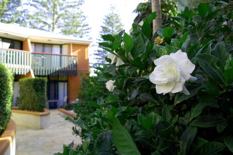 The Crest Byron Bay - Accommodation VIC 29