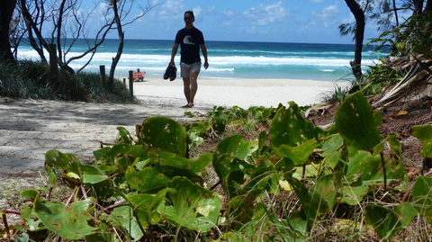 SaltBeach2302 - Accommodation VIC 15