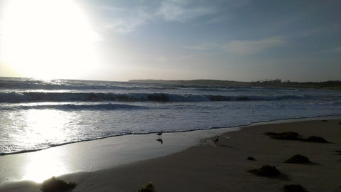 Sweet Spot Shellharbour - Accommodation VIC 14