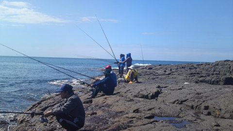 Sweet Spot Shellharbour - Accommodation VIC 13