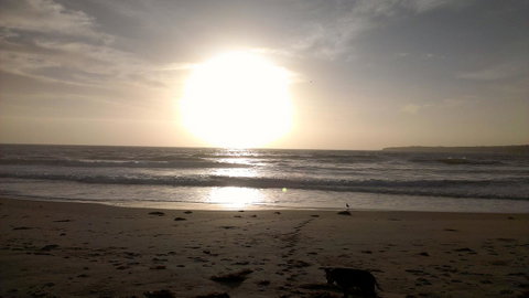 Sweet Spot Shellharbour - Accommodation VIC 16