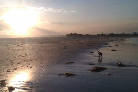 Sweet Spot Shellharbour - Accommodation VIC 12