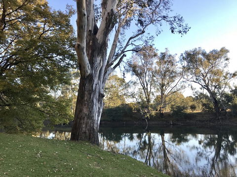 The Botanical 201 - Accommodation VIC 18